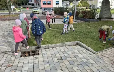 grupa DELFINKI