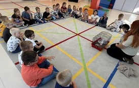 IMG_8714 (1)