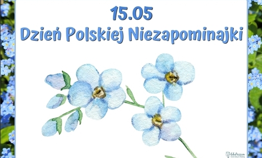 Zdjęcie do Dzień Polskiej Niezapominajki